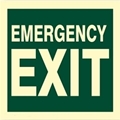 (image for) Emergency Exit