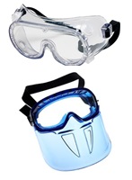 (image for) Safety Goggles